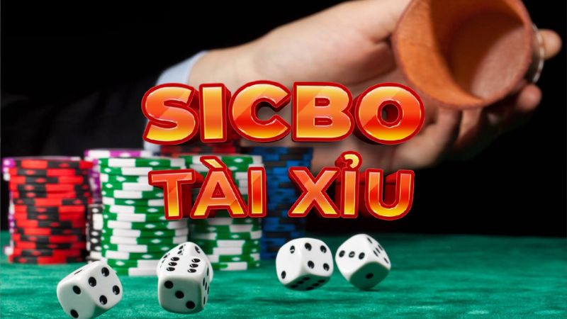 Kinh nghiệm thực tế từ cao thủ