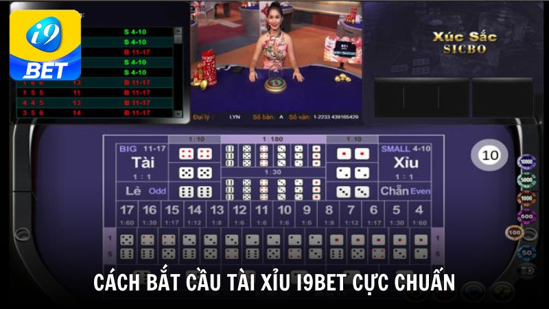 Cách bắt cầu tài xỉu i9bet cực chuẩn từ cao thủ