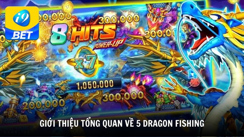 Giới thiệu tổng quan về 5 Dragon Fishing