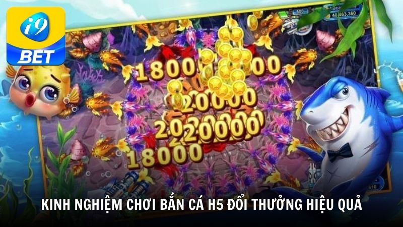 Kinh nghiệm chơi bắn cá h5 đổi thưởng hiệu quả từ i9BET