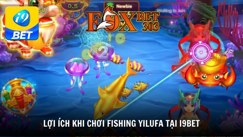 Lợi ích khi chơi Fishing Yilufa tại i9BET